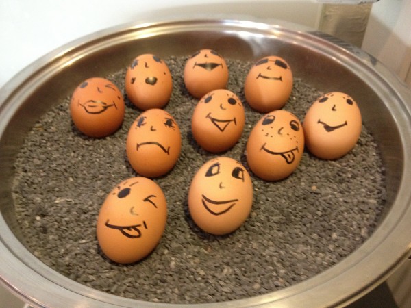 schiller5 petit déjeuner oeufs durs