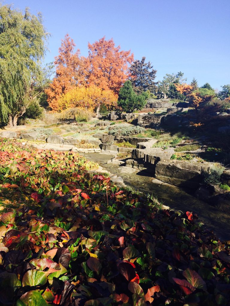 montreal-automne-jardin-botanique