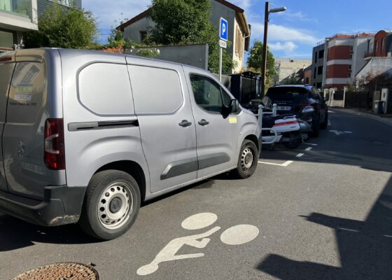 les jeunes plébiscitent la voiture dans le monde. observatoire cetelem.