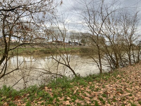 La boue le long de l'Adour en pleine centre de Dax.