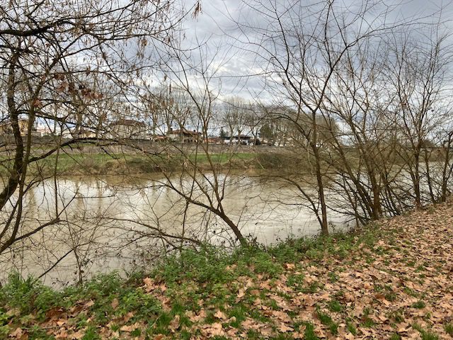 La boue le long de l'Adour en pleine centre de Dax.