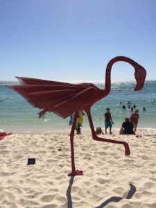 SCULPTURE BY THE SEA. Flamand rose