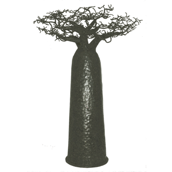 Baobab Droit 70cm - Passerailes - 145Ôé¼ - Copie