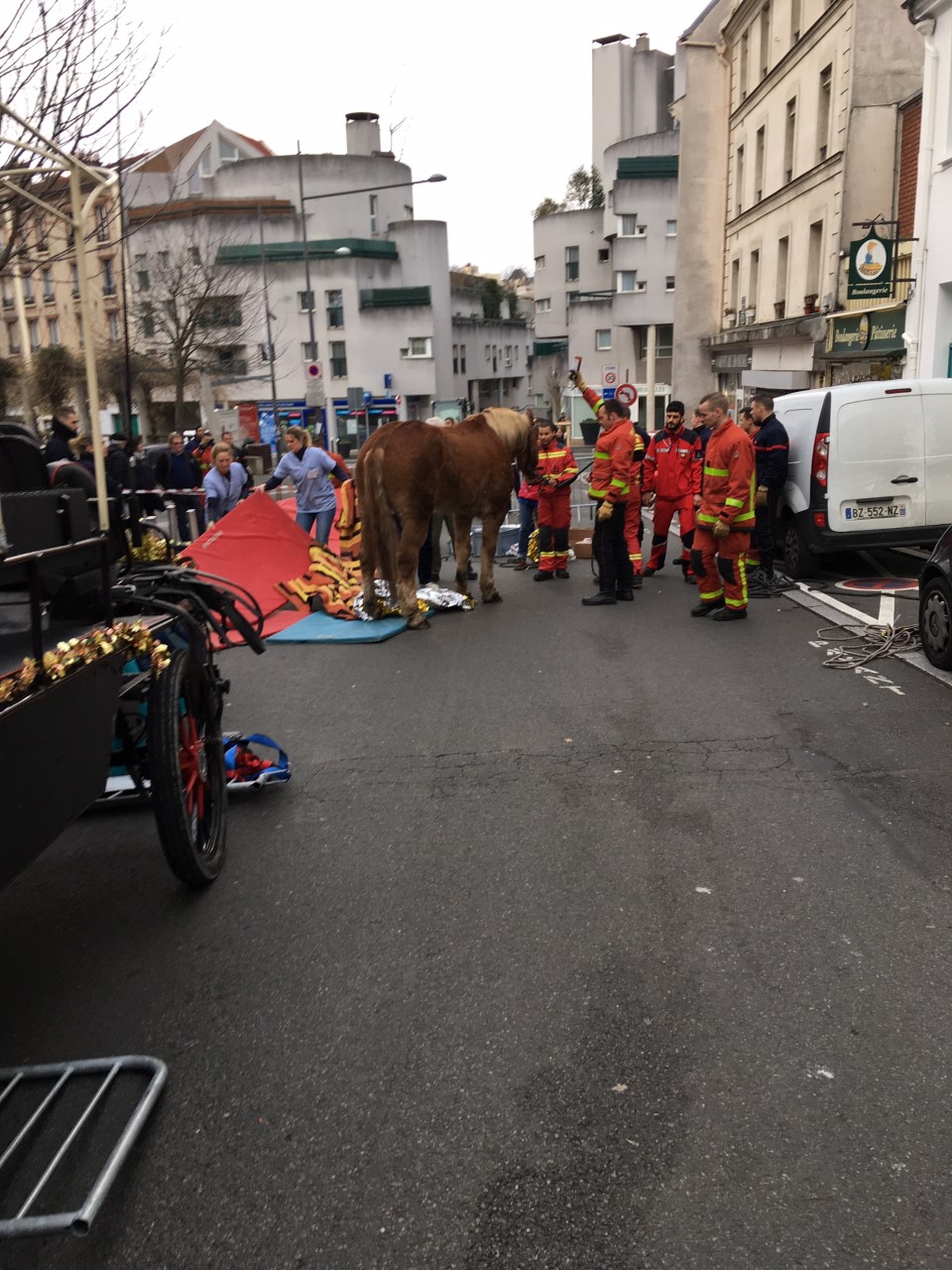 Gentilly, Noël 2019. Le cheval se relève après un malaise. Crédit photo. F. Rousset. La Femme Qui Marche