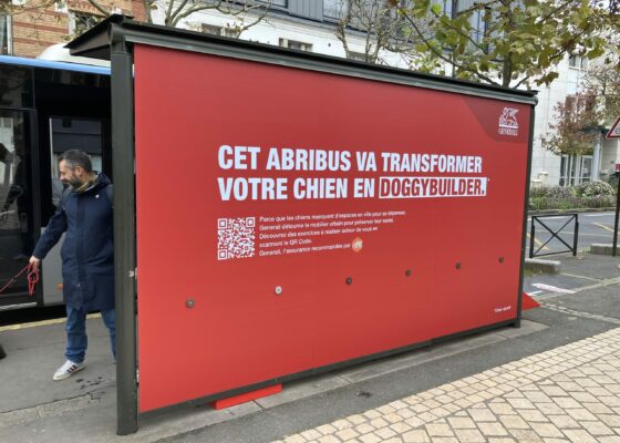 faire faire de l’exercice à son chien trop gros en ville.