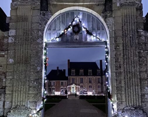 château de la ferté saint aubin en sologne. visite particulière à noël.