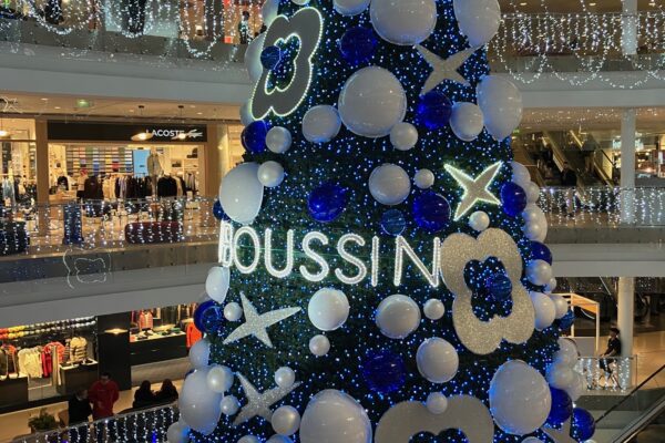 noël. lumières, sapins, décorations installées. Beaugrenelle. quelle déco ?