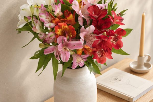 comment garder des fleurs longtemps et faire livrer des bouquets à petits prix. florajet.